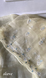 Load image into Gallery viewer, Women's Lakhnavi Handcrafted Pure Organza Chikankari Unstitched Kurta And Dupatta Set- HONC0304479