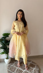 将图像加载到图库查看器中, Women's Lucknowi Handcrafted Pure Organza Silk Stitched Chikankari Kurta, Dupatta With Pant Set- HONC0368442