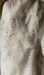 将图像加载到图库查看器中, Women's Lucknowi Handcrafted Pure Organza Silk Chikankari Saree - HONC0355016