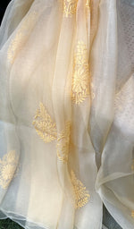 将图像加载到图库查看器中, Women's Lucknowi Handcrafted Pure Organza Silk Chikankari SAREE - HONC0228639