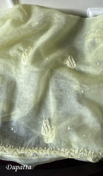 将图像加载到图库查看器中, Women's Lakhnavi Handcrafted Organza Chikankari Unstitched Full Suit Material - HONC0271221