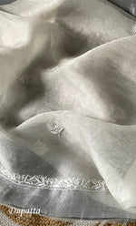 Load image into Gallery viewer, Women's Lakhnavi Handcrafted Pure Organza Chikankari Unstitched Kurta And Dupatta Set- HONC0308268