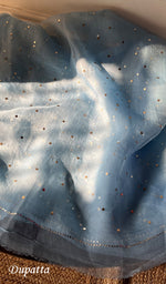 将图像加载到图库查看器中, Marifa Women's Lakhnavi Handcrafted Pure Organza Chikankari Unstitched Kurta And Dupatta Set- HONC0301642