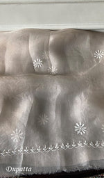 Load image into Gallery viewer, Women's Lakhnavi Handcrafted Pure Organza Chikankari Semi stitched Kurta And Dupatta Set- HONC0348611