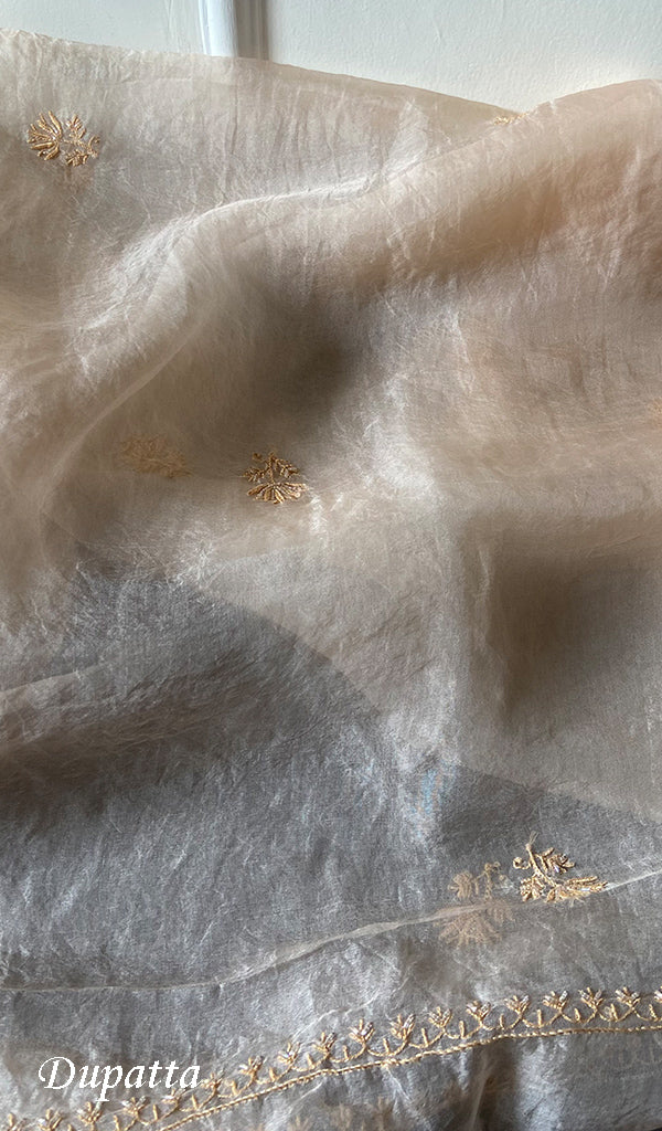 Women's Lakhnavi Handcrafted Pure Organza Chikankari Unstitched Kurta And Dupatta Set- HONC0263885