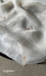 Load image into Gallery viewer, Women's Lakhnavi Handcrafted Pure Organza Chikankari Unstitched Kurta And Dupatta Set- HONC0308250