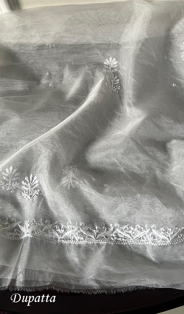 Women's Lakhnavi Handcrafted Organza Chikankari Unstitched Kurta And Dupatta Set- HONC0249868