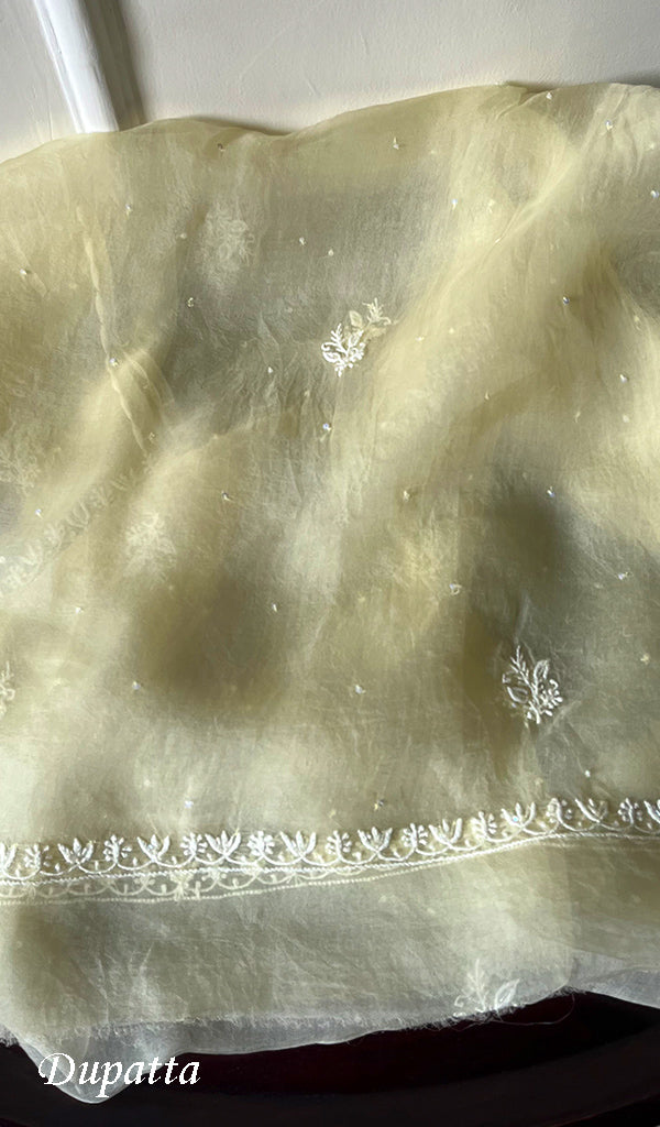 Women's Lakhnavi Handcrafted Pure Organza Chikankari Semi - Stitched Kurta And Dupatta Set- HONC0207085