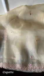 Load image into Gallery viewer, Amara Women's Lakhnavi Handcrafted Pure Organza Chikankari Unstitched Kurta And Dupatta Set - HONC0258853