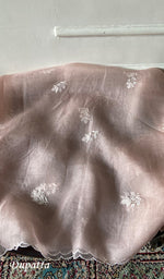 将图像加载到图库查看器中, Women's Lakhnavi Handcrafted Pure Organza Chikankari Unstitched Kurta And Dupatta Set - HONC0361462
