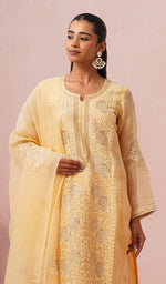 Load image into Gallery viewer, Women's Lucknowi Handcrafted Pure Organza Silk Stitched Chikankari Kurta, Dupatta With Pant Set- HONC04464644
