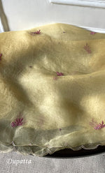 Load image into Gallery viewer, Women's Lakhnavi Handcrafted Pure Organza Chikankari Unstitched Kurta And Dupatta Set- HONC0318666