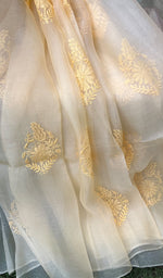 将图像加载到图库查看器中, Women's Lucknowi Handcrafted Pure Organza Silk Chikankari SAREE - HONC0228639