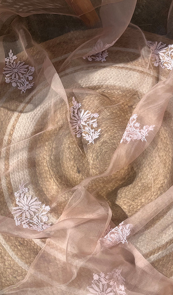 Women's Lucknowi Handcrafted Pure Organza Silk Chikankari SAREE - HONC0251005