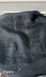 将图像加载到图库查看器中, Women's Lakhnavi Handcrafted Pure Organza Chikankari Unstitched Kurta And Dupatta Set- HONC0311247