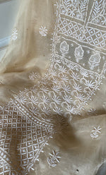 将图像加载到图库查看器中, Women's Lakhnavi Handcrafted Pure Organza Chikankari Unstitched Kurta And Dupatta Set- HONC0266923