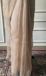 Load image into Gallery viewer, Women's Lucknowi Handcrafted Pure Organza Silk Chikankari Saree - HONC0296091