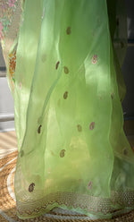 将图像加载到图库查看器中, Inayat Women's Lucknowi Handcrafted Pure Organza Silk Chikankari Saree  - HONC0278819