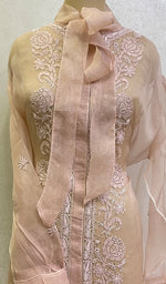 将图像加载到图库查看器中, Women's Lakhnavi Handcrafted Semi Stitched Pure Organza Chikankari Top - HONC0138438