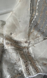 将图像加载到图库查看器中, Women's Lakhnavi Handcrafted Pure Organza Chikankari Semi - stitched Kurta And Dupatta Set- HONC0331141