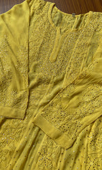 将图像加载到图库查看器中, Nilofar Women's Lakhnavi Handcrafted Viscose Georgette Chikankari Anarkali - HONC0269042