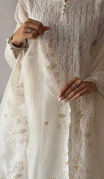 Load image into Gallery viewer, Women's Lucknowi Handcrafted Pure Organza Silk Chikankari Dupatta - HONC0380139