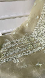 将图像加载到图库查看器中, Women's Lakhnavi Handcrafted Pure Organza Chikankari Unstitched Kurta And Dupatta Set- HONC0324983