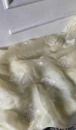 将图像加载到图库查看器中, Women's Lakhnavi Handcrafted Pure Organza Chikankari Unstitched Full Suit Material - HONC0361467