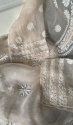 Load image into Gallery viewer, Women's Lakhnavi Handcrafted Pure Organza Chikankari Semi stitched Kurta And Dupatta Set- HONC0348611