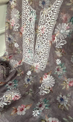 将图像加载到图库查看器中, Disha Women's Lakhnavi Handcrafted Organza Chikankari Unstitched Kurti Fabric - HONC0332145