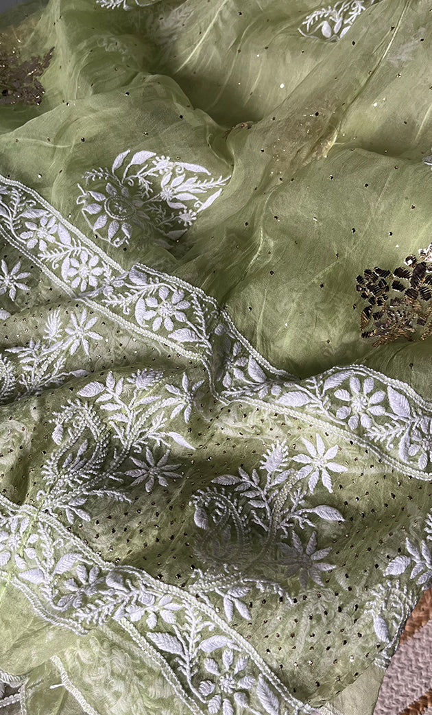 Women's Lakhnavi Handcrafted Bridal Pure Organza Silk  Chikankari Lehenga Set - HONC0294021