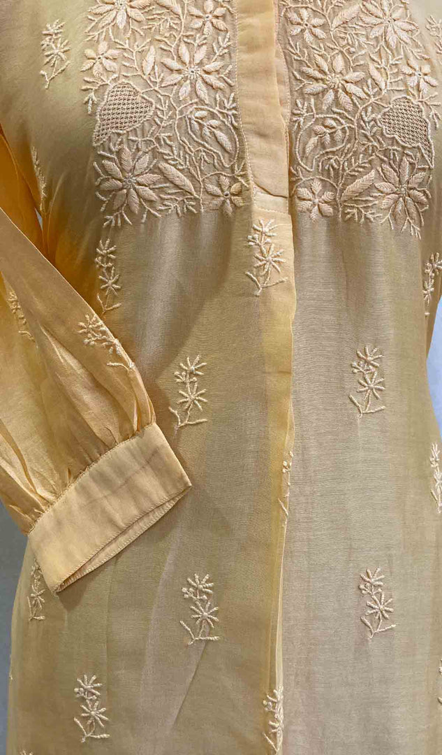 Lakhnavi 手工制作 Chanderi 丝绸 Chikankari 上衣 - HONC062102