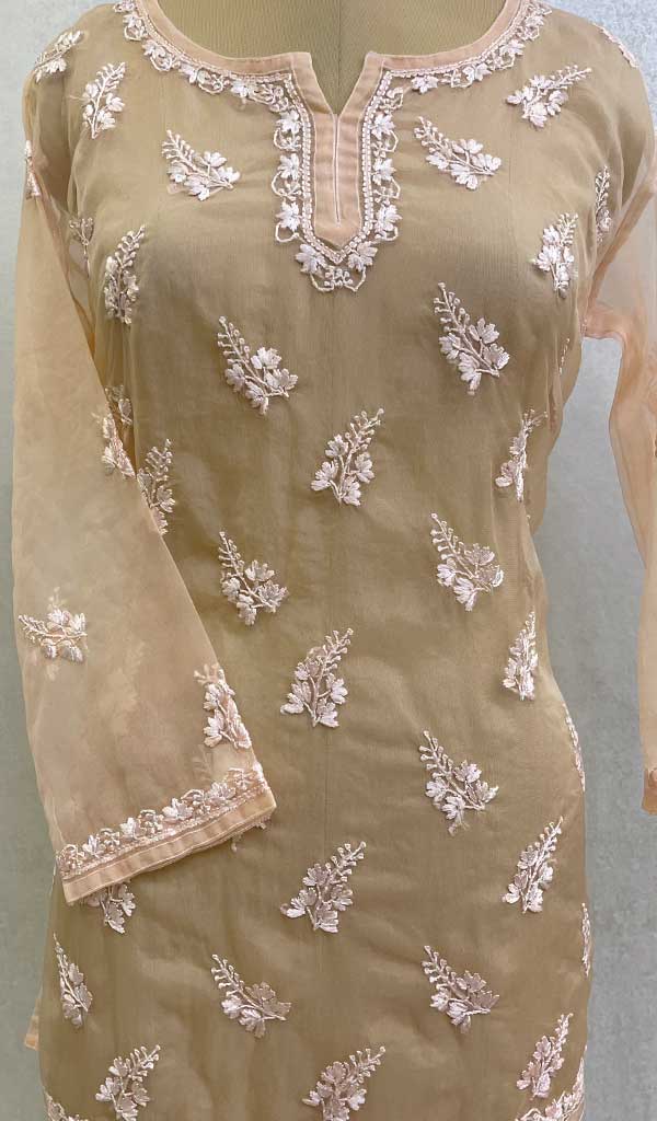 Lakhnavi 手工制作 Orgenza Chikankari 上衣 - HONC0112344