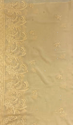 Load image into Gallery viewer, لکھنؤی ہاتھ سے تیار کردہ ویزکوز جارجٹ چکنکاری دوپٹہ - Honc095696