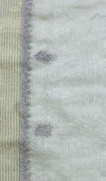 Load image into Gallery viewer, Women's Lakhnavi Handcrafted Chanderi Silk Chikankari Dupatta - Honc0108758