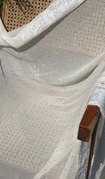 Load image into Gallery viewer, Women's Lakhnavi Handcrafted Pure Silk Georgette Chikankari Saree- HONC0260889