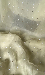 Load image into Gallery viewer, Marifa Women's Lakhnavi Handcrafted Pure Organza Chikankari Unstitched Kurta And Dupatta Set- HONC0300625