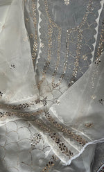 将图像加载到图库查看器中, Women's Lakhnavi Handcrafted Pure Organza Chikankari Semi - stitched Kurta And Dupatta Set- HONC0331141