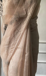 Load image into Gallery viewer, Women's Lucknowi Handcrafted Pure Organza Silk Chikankari Saree - HONC0296091