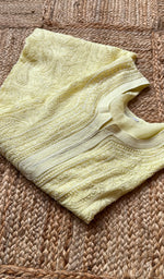 将图像加载到图库查看器中, Women's Lakhnavi Handcrafted Viscose Georgette Chikankari Kurti- HONC0261362