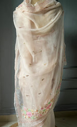 Load image into Gallery viewer, Inayat Women's Lucknowi Handcrafted Pure Organza Silk Chikankari Saree - HONC0282492