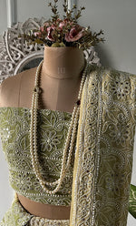 将图像加载到图库查看器中, Women's Lakhnavi Handcrafted Bridal Pure Georgette Chikankari Lehenga Set - HONC0271838