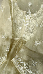 将图像加载到图库查看器中, Women's Lakhnavi Handcrafted Pure Organza Chikankari Semi - Stitched Kurta And Dupatta Set- HONC0207085