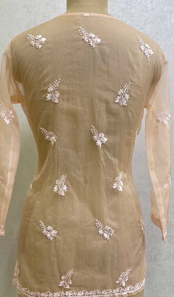 Lakhnavi 手工制作 Orgenza Chikankari 上衣 - HONC0112344