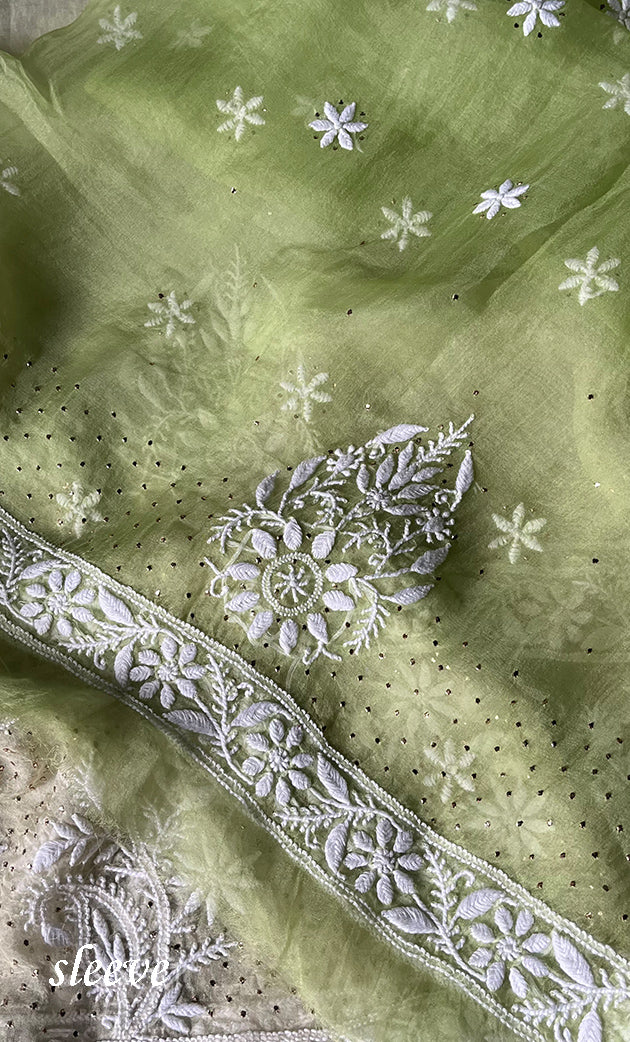 Women's Lakhnavi Handcrafted Bridal Pure Organza Silk  Chikankari Lehenga Set - HONC0294021