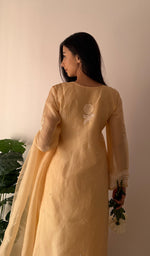 将图像加载到图库查看器中, Rose Women's Lucknowi Handcrafted Pure Organza Silk Stitched Chikankari Kurta, Dupatta With Pant Set- HONC0339014