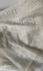 Load image into Gallery viewer, Women's Lakhnavi Handcrafted Pure Organza Chikankari Unstitched Kurta And Dupatta Set- HONC0314851