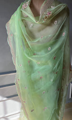 将图像加载到图库查看器中, Inayat Women's Lucknowi Handcrafted Pure Organza Silk Chikankari Saree  - HONC0278819