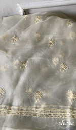 Load image into Gallery viewer, Women's Lakhnavi Handcrafted Pure Organza Chikankari Unstitched Kurta And Dupatta Set- HONC0333533