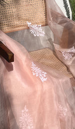 将图像加载到图库查看器中, Women's Lucknowi Handcrafted Pure Organza Silk Chikankari SAREE - HONC0251005